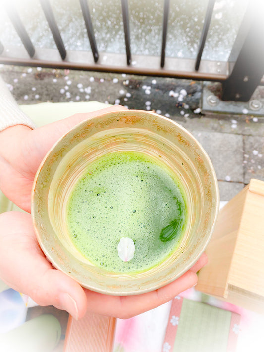 満開の桜と旅する茶室 - 5分で完結する体験型ストレスケアMatcha Meditation~美心LAB公式サイト